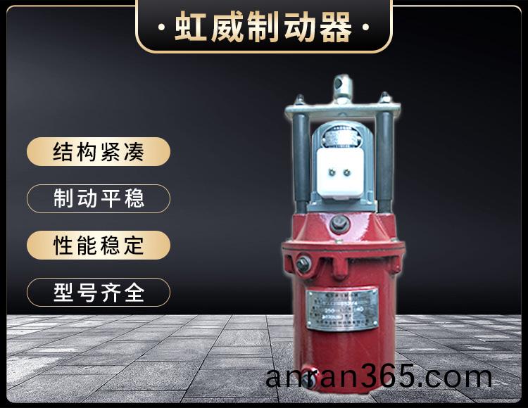 YT1係列(lie)電力液(ye)壓(ya)推動器