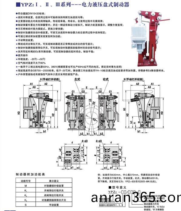 YPZ21